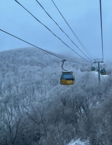 도박 사이트